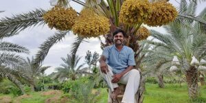 Read more about the article From ISRO Scientist to Organic Date Tycoon: Earning Rs. 6L Per Acre in Profits