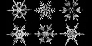 Read more about the article Cold Case: The Unseen Life of Snowflakes