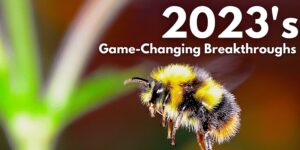 Read more about the article 2023's Surprise Breakthroughs: From Bees to Breast Cancer Cure