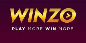 Read more about the article WinZO partners with top universities to develop skill-based game assessment model