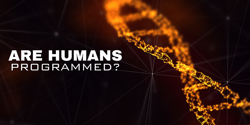 You are currently viewing Humans Are Programmed? The Fascinating Link Between DNA and Digital Algorithms