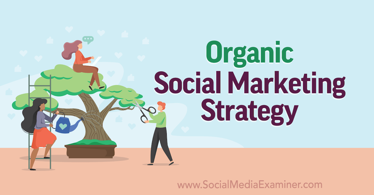 You are currently viewing Organic Social Marketing Strategy