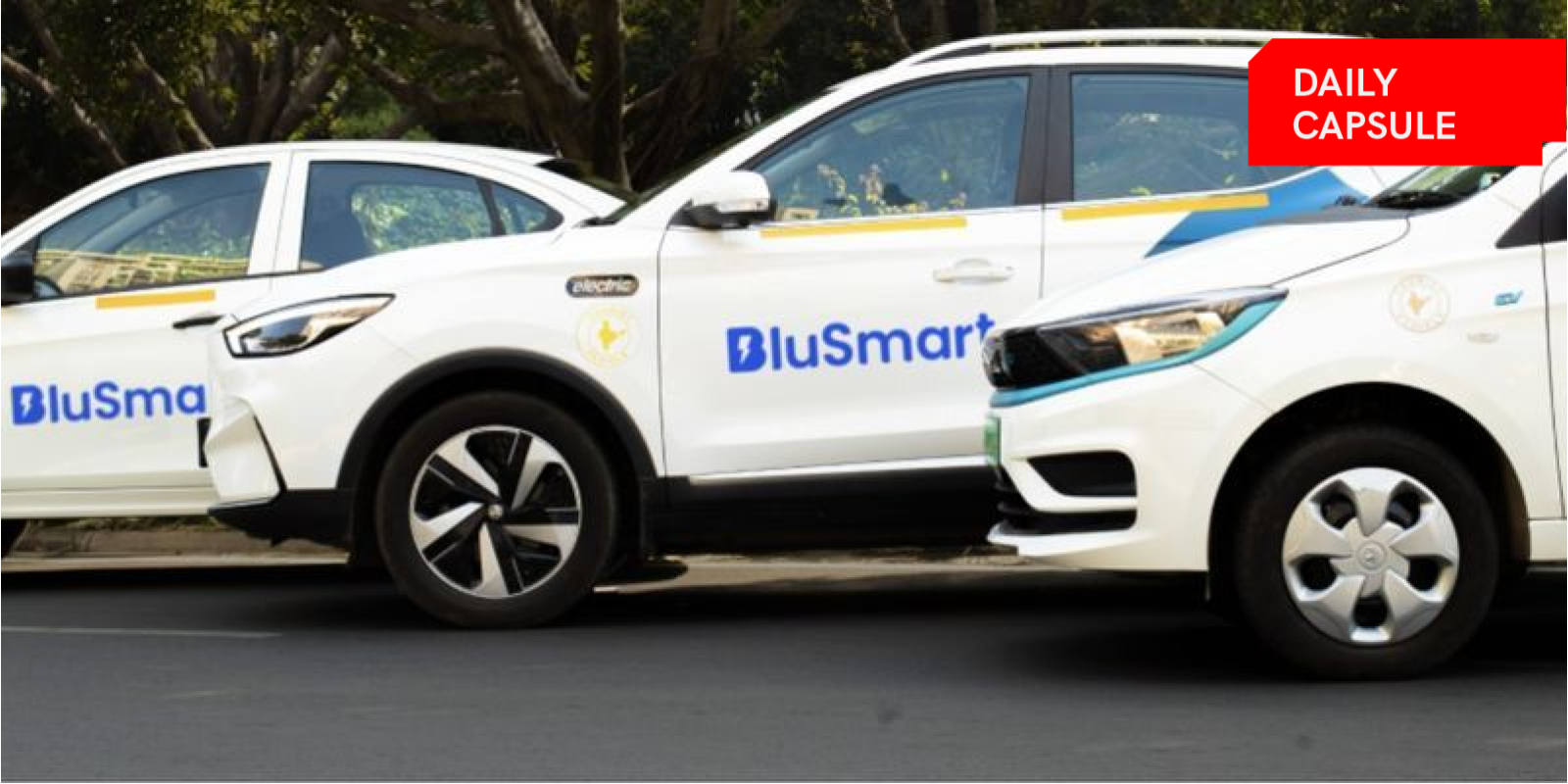 You are currently viewing BluSmart hits $60M ARR in FY24; ChrysCapital closes Continuation Fund