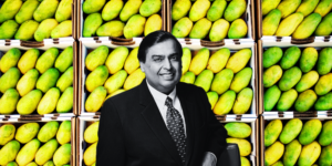 Read more about the article Did You Know Mukesh Ambani Is the World's Largest Mango Exporter?