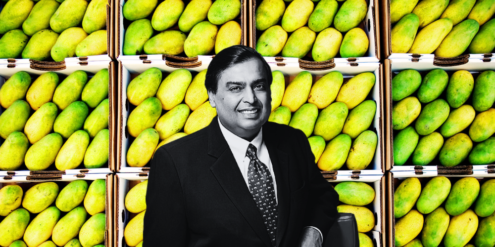 You are currently viewing Did You Know Mukesh Ambani Is the World's Largest Mango Exporter?