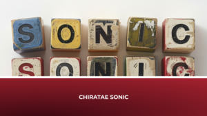 Read more about the article Chiratae Sonic 2024: Of 48-hour turnaround and disruptive innovations