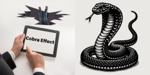 Read more about the article The Cobra Effect: Its pitfalls and how to prevent them