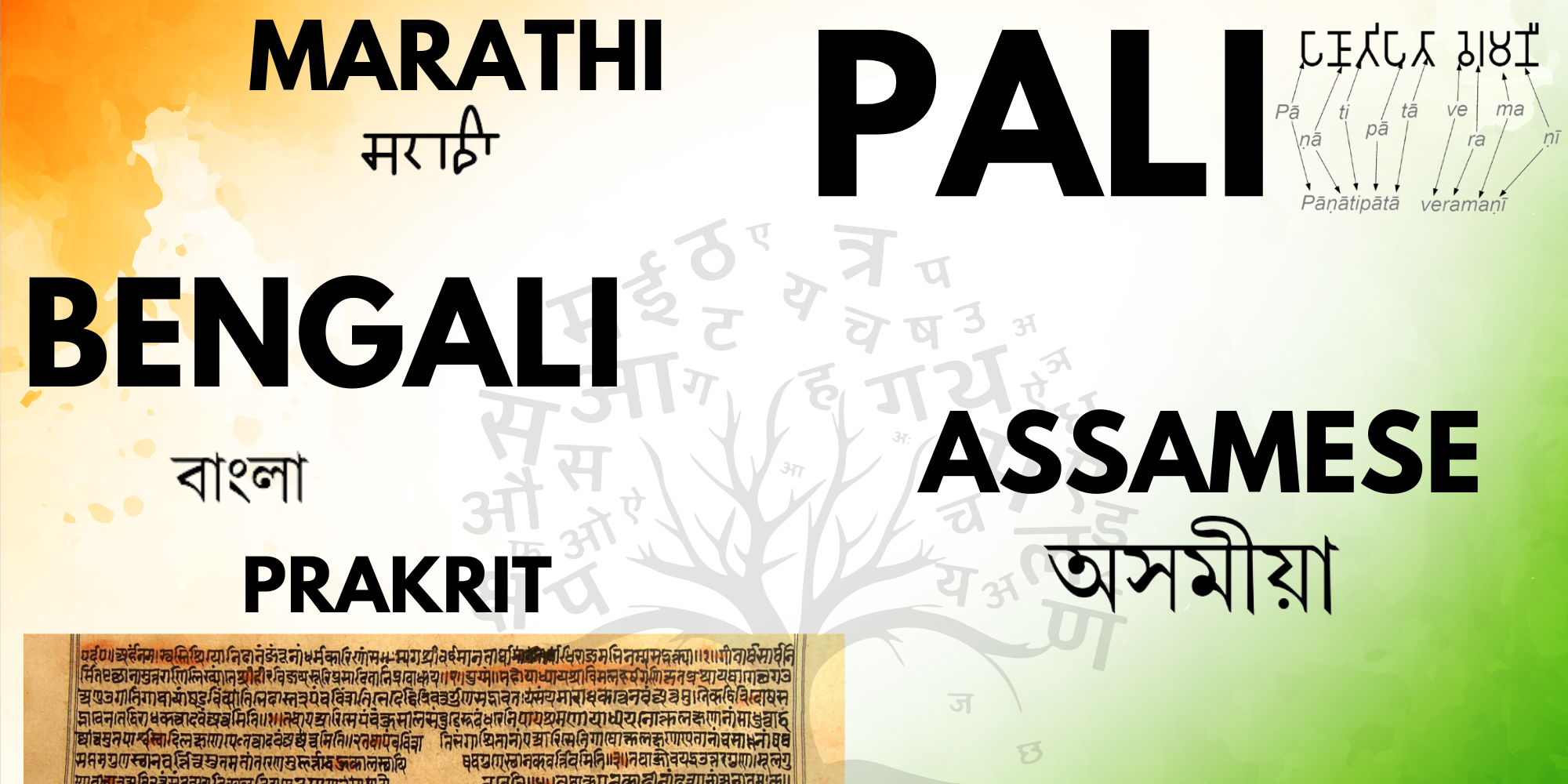 You are currently viewing Why Marathi, Bengali, Assamese, and Pali Are Now India’s Classical Languages in 2024