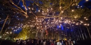 Read more about the article Echoes of Earth kicks off 7th edition of India’s greenest music festival