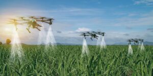 Read more about the article Agritech in 2025: Building on the momentum of 2024