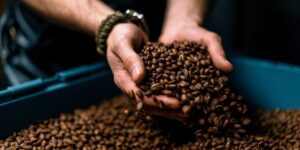 Read more about the article Careers in coffee: Diverse opportunities in a thriving industry