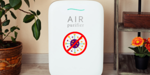 Read more about the article Can air purifiers save you from allergies? Experts answer