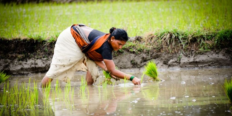 You are currently viewing Role of supply chain finance in shaping the future of agri finance